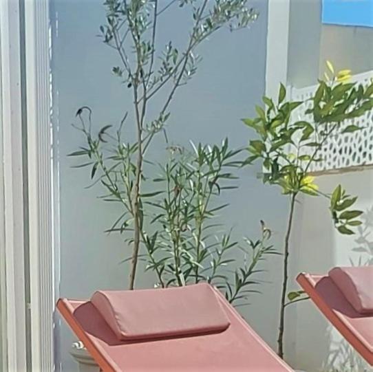 Ferienwohnung Entre Catedrales Terrace Sevilla Exterior foto